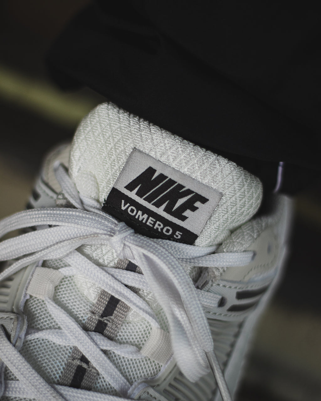 Nike Zoom Vomero 5 "Platinum Tint/Cashmere/Iron Grey/Photon Dust"