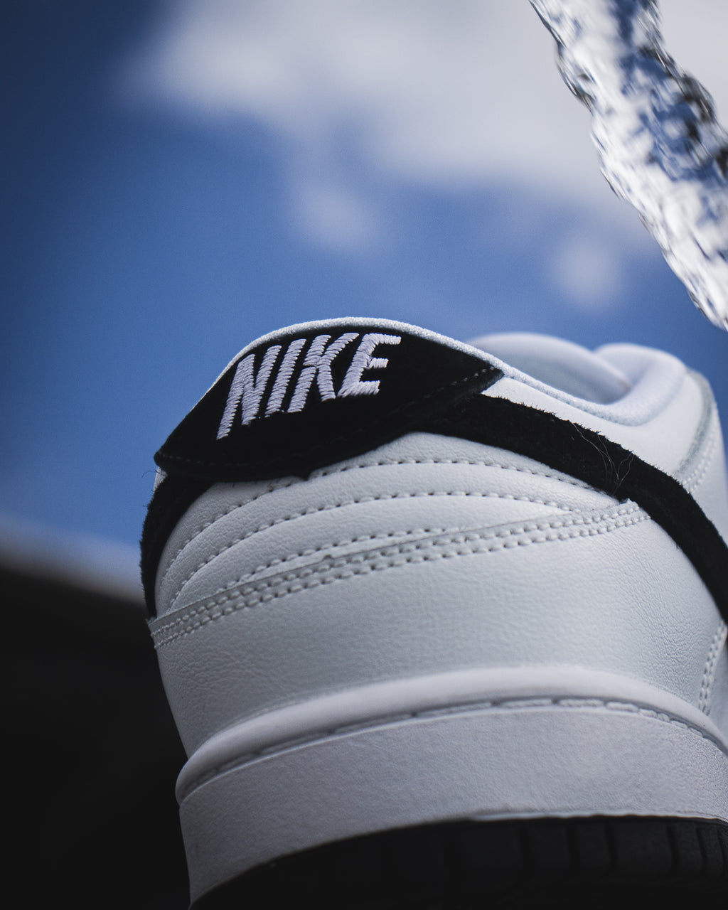 Nike SB Dunk Low Pro "White and Black"
