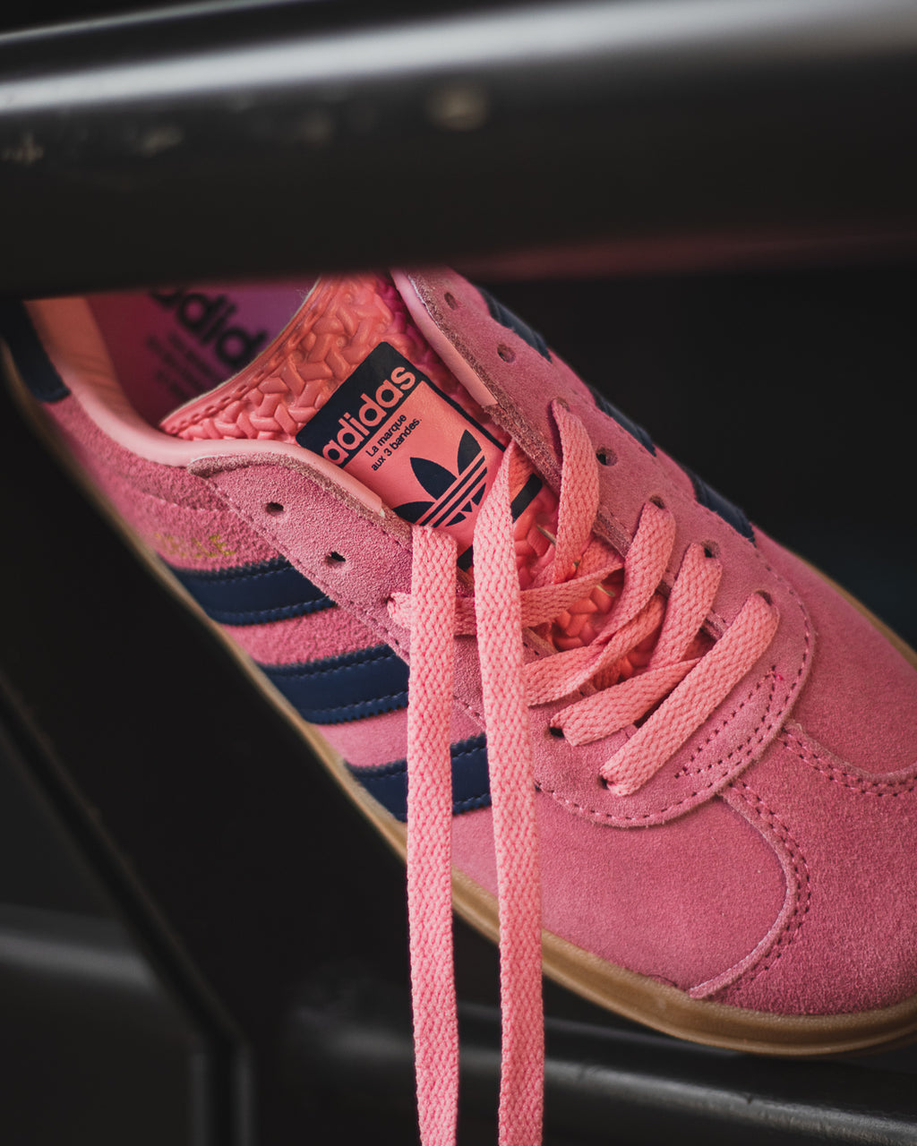 Adidas Gazelle Bold