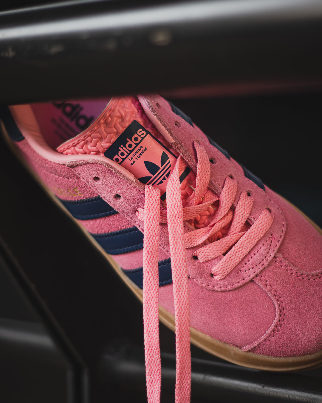 Adidas Gazelle Bold