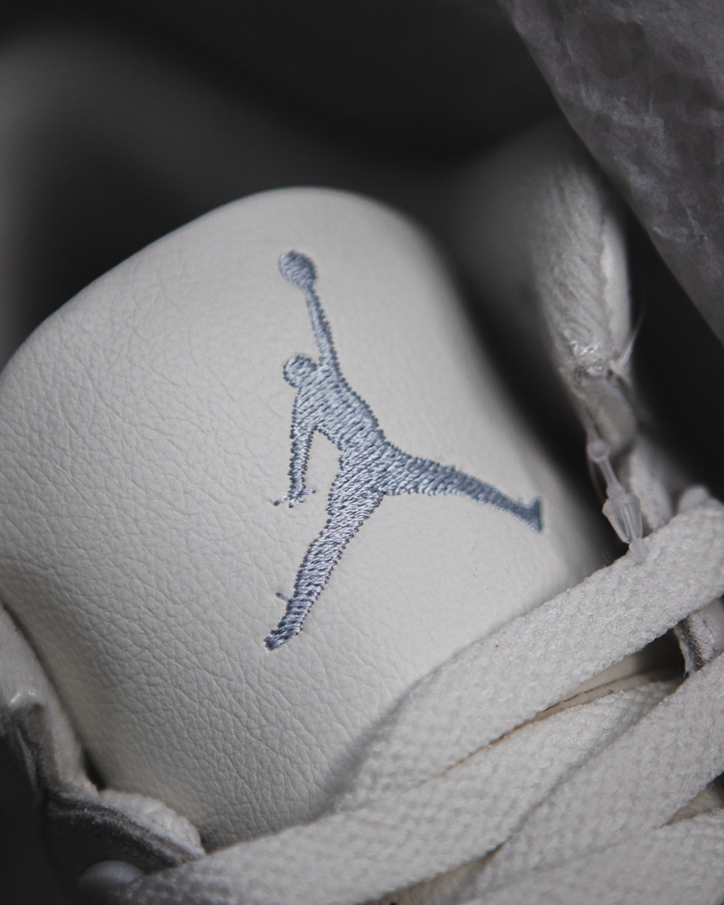 Air Jordan 3 Retro "Lucky Shorts"