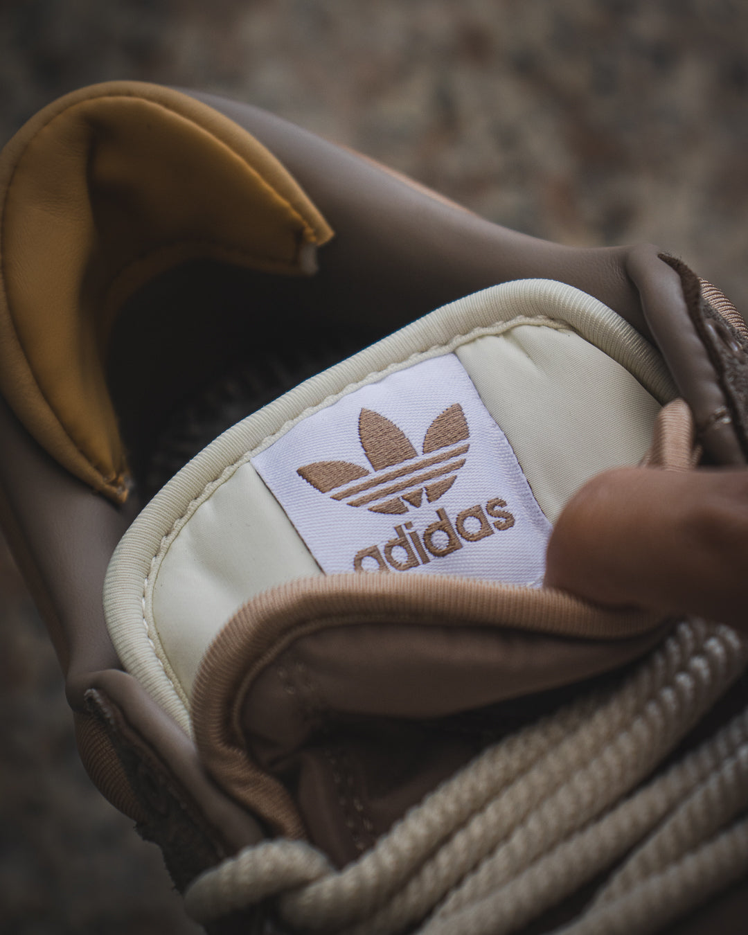 Adidas Campus Bad Bunny “Chalky Brown”