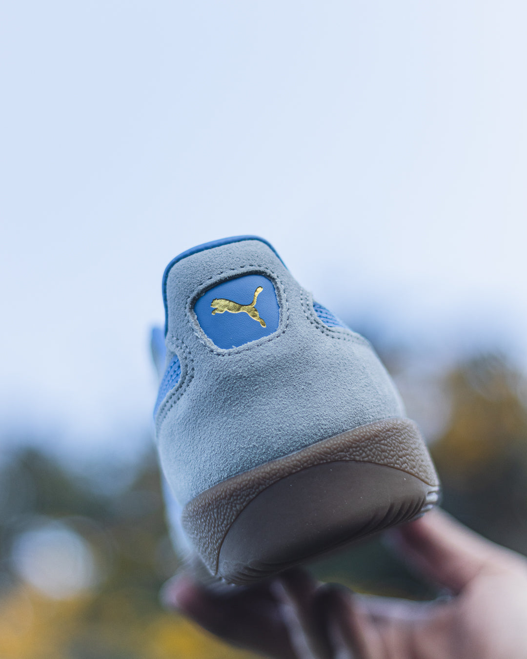 Puma Palermo "Dewdrop"