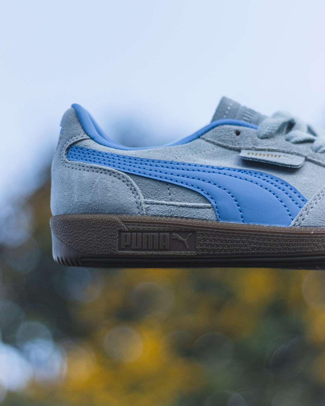 Puma Palermo "Dewdrop"