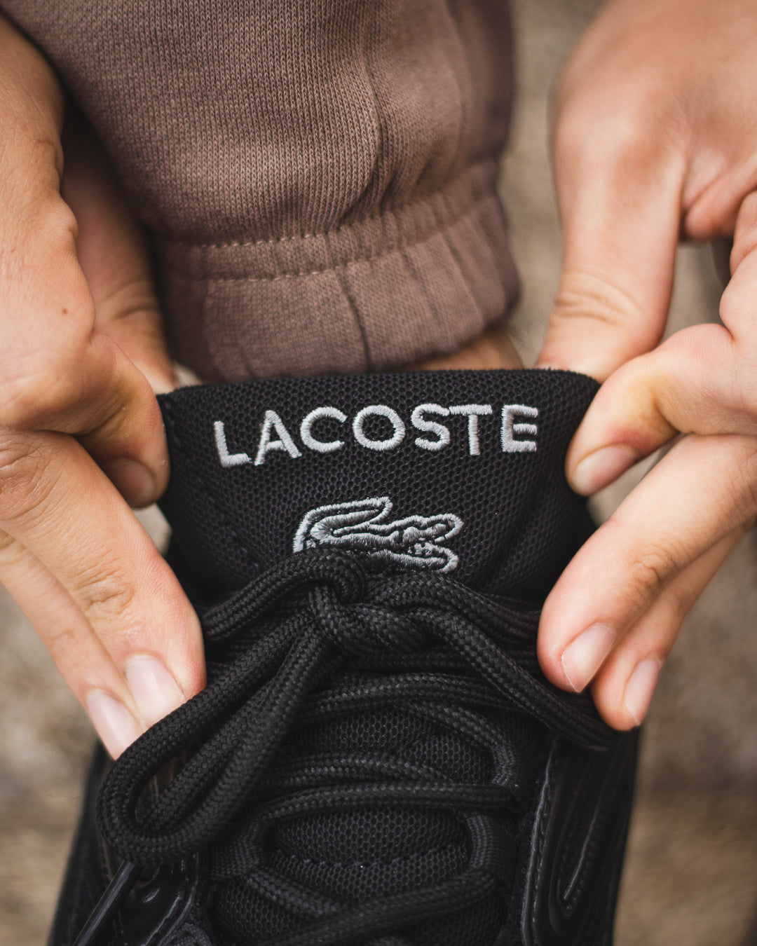 Lacoste L003 2K24