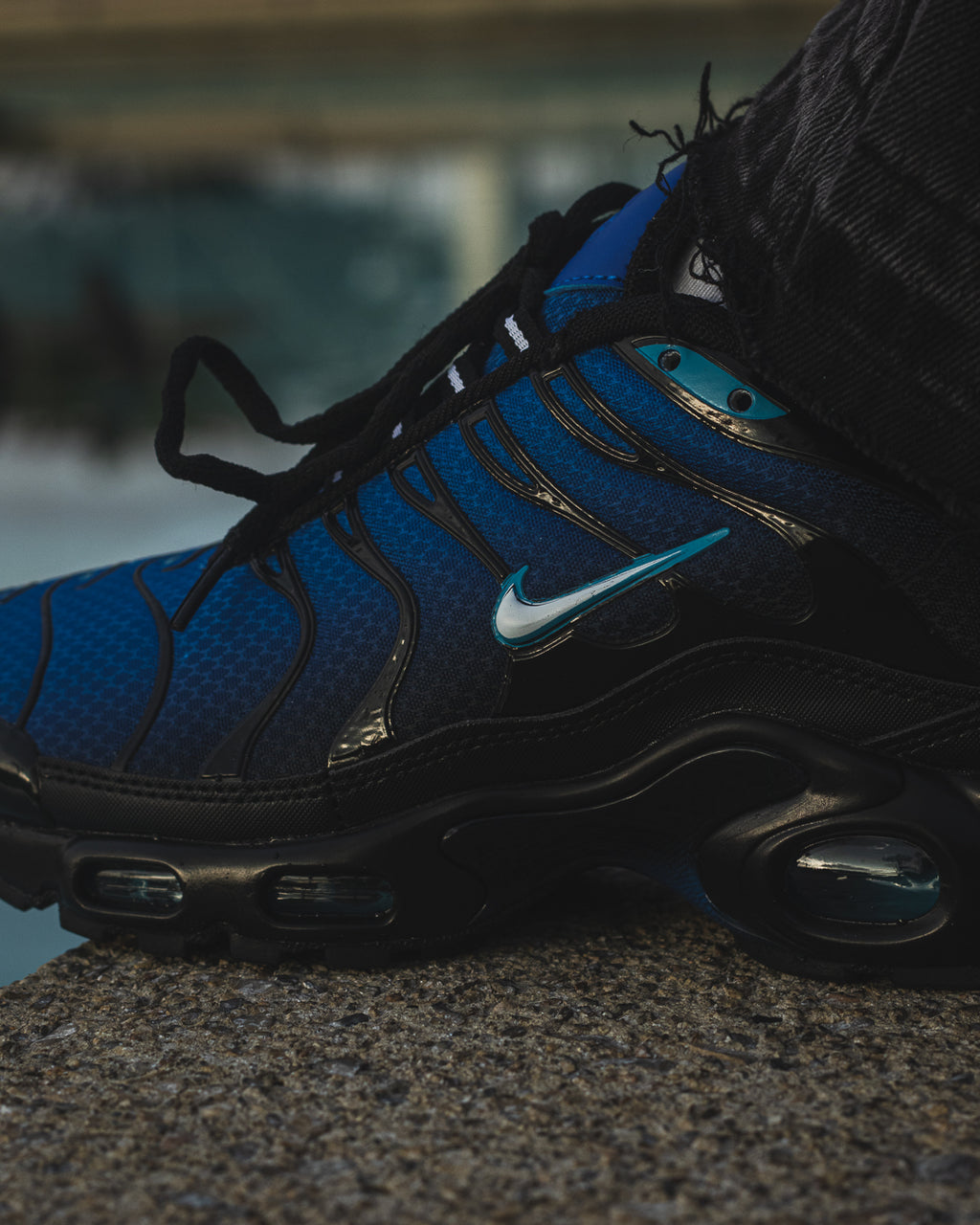 Nike Air Max Tn Plus