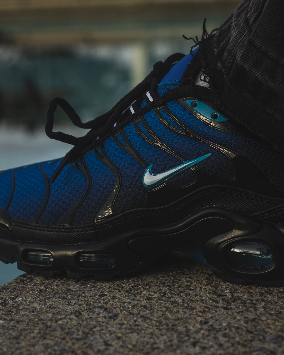 Nike Air Max Tn Plus