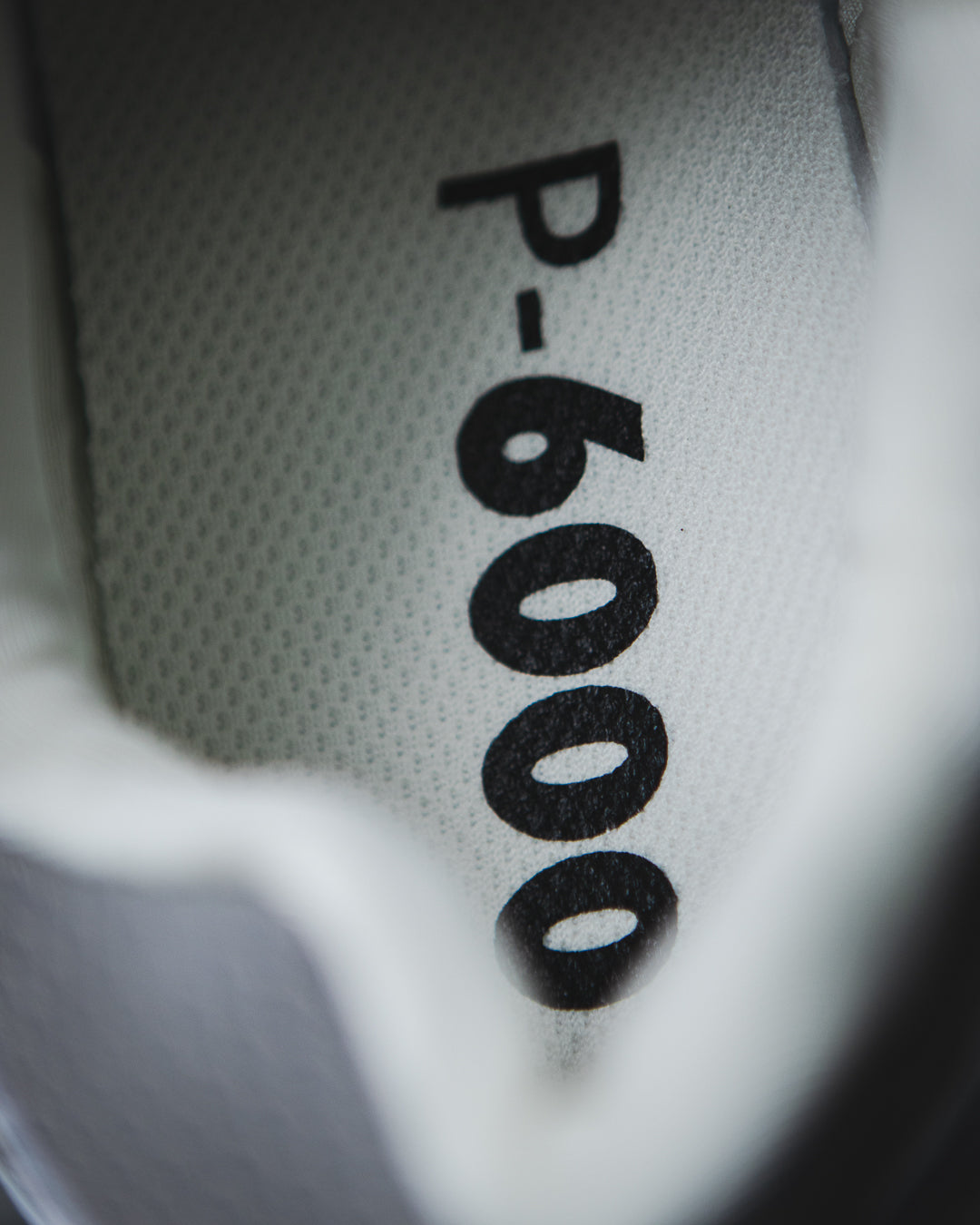 Nike P-6000 "Metallic Silver"