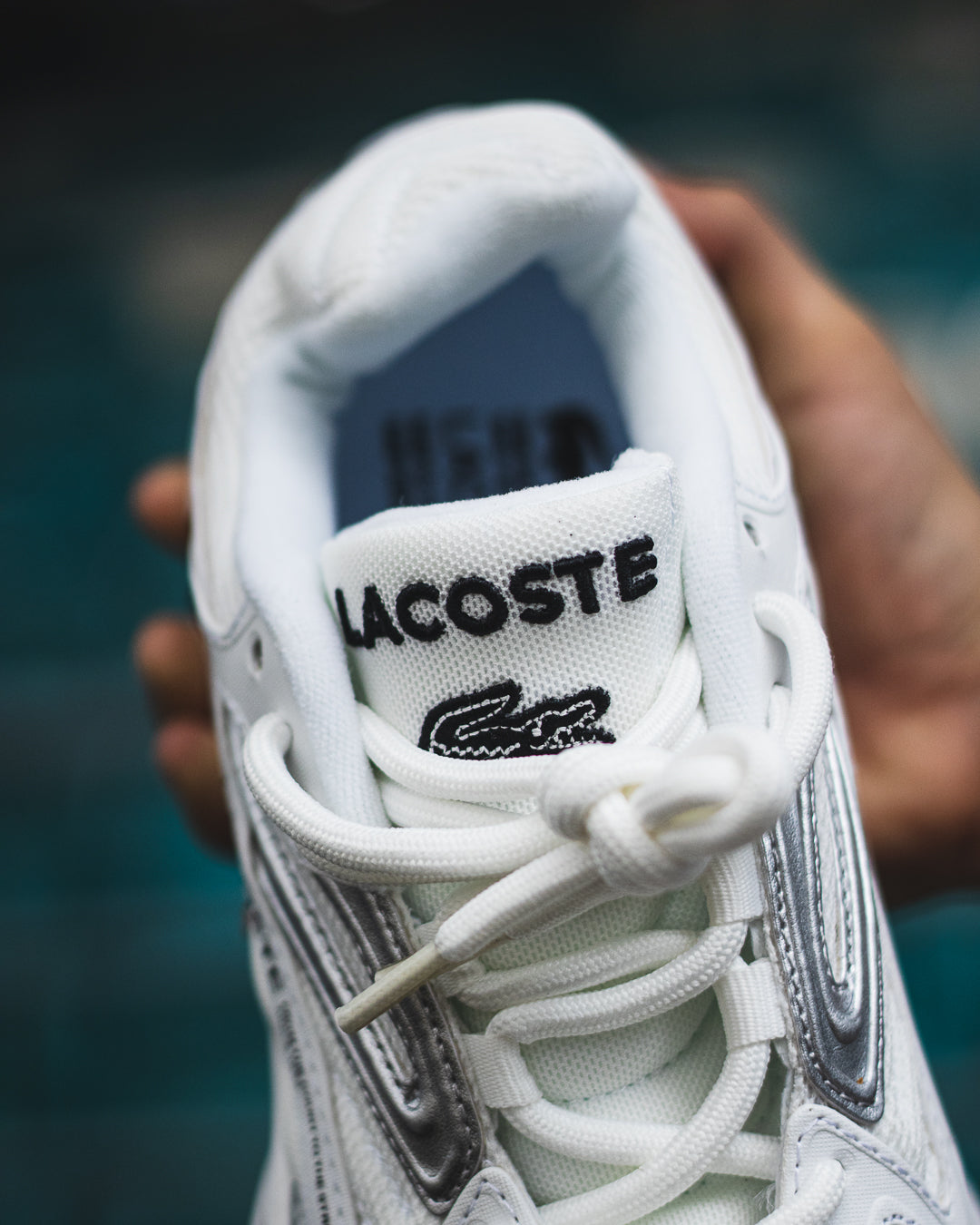 Lacoste L003 2K24