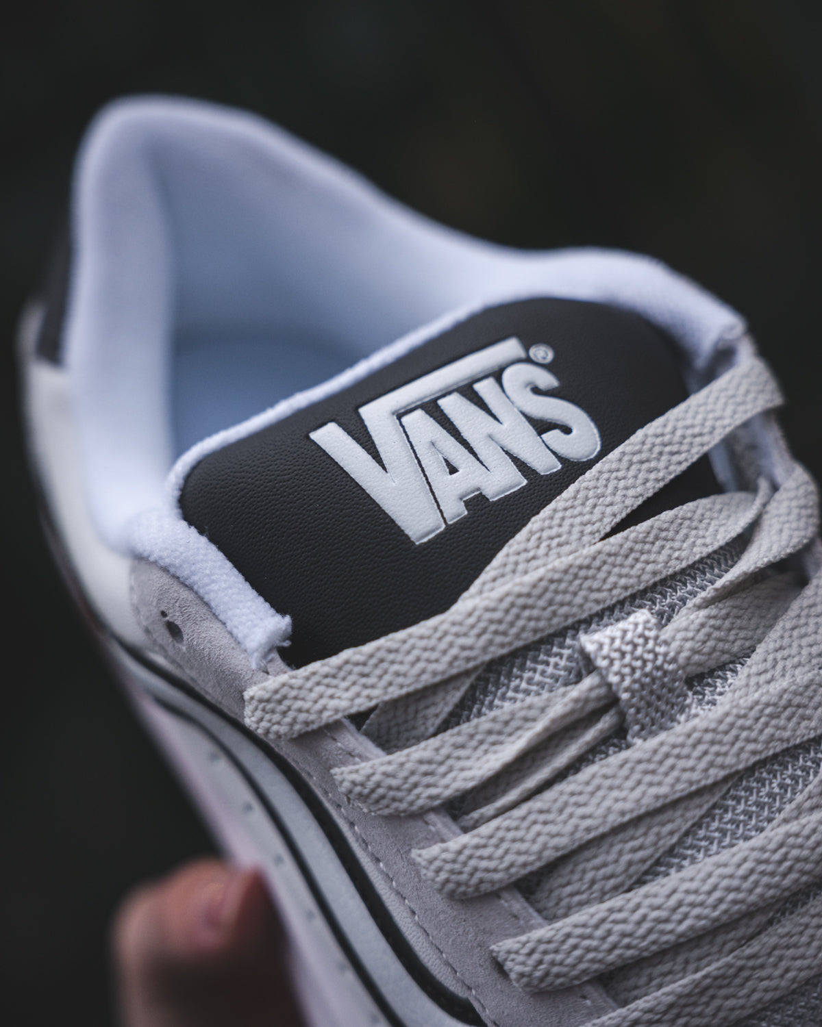 Vans Hylane Retro Skate Lunar Rock