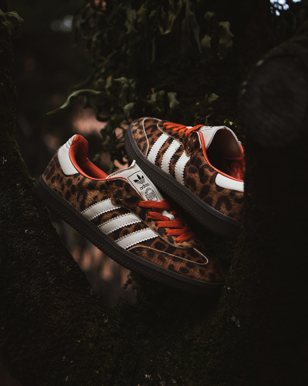 Adidas Samba Leopard Pack