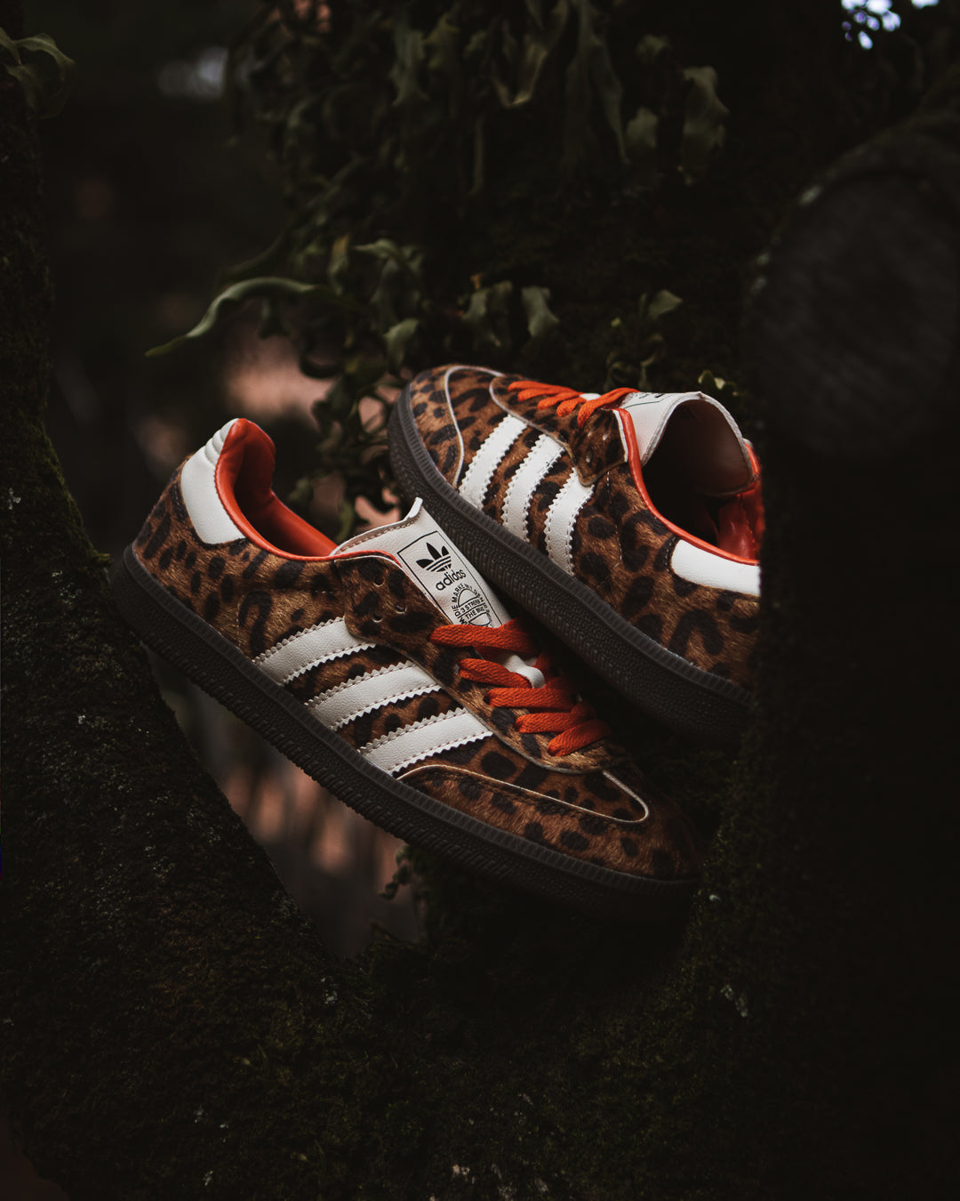 Adidas Samba Leopard Pack