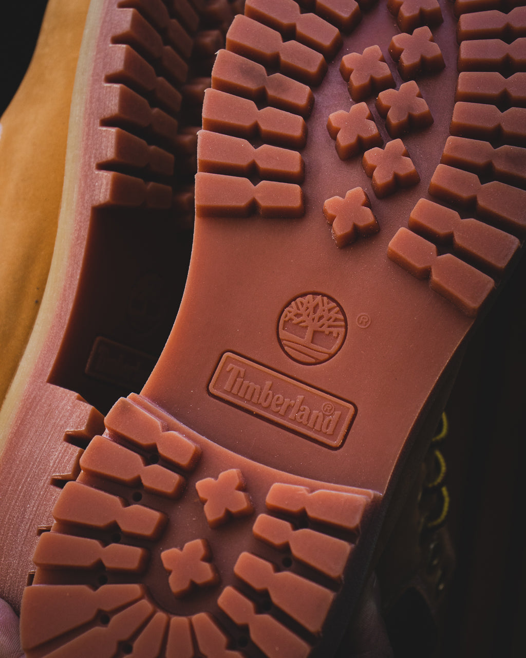 Timberland Premium 6-inch