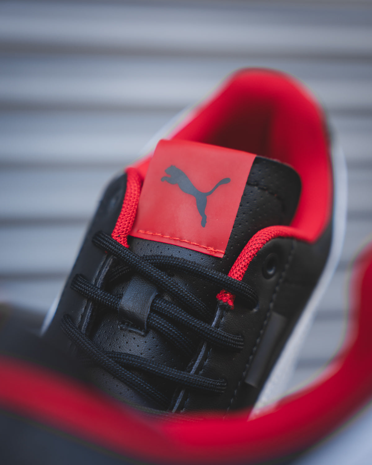 PUMA Scuderia Ferrari Roma Via