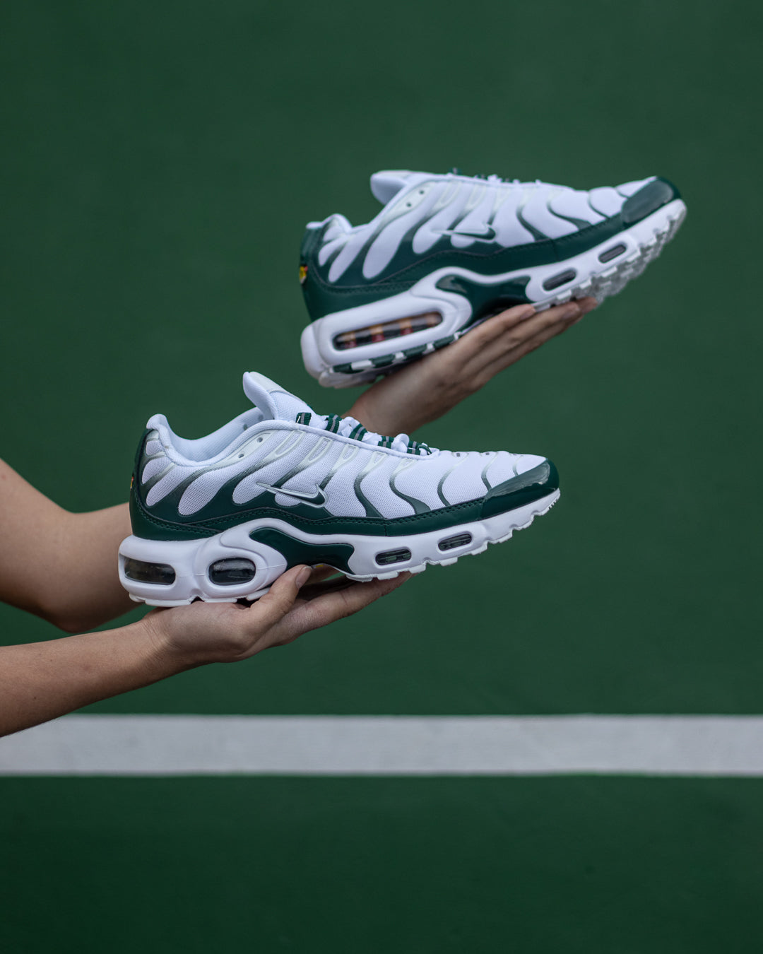 Nike Air Max TN Plus x Lacoste