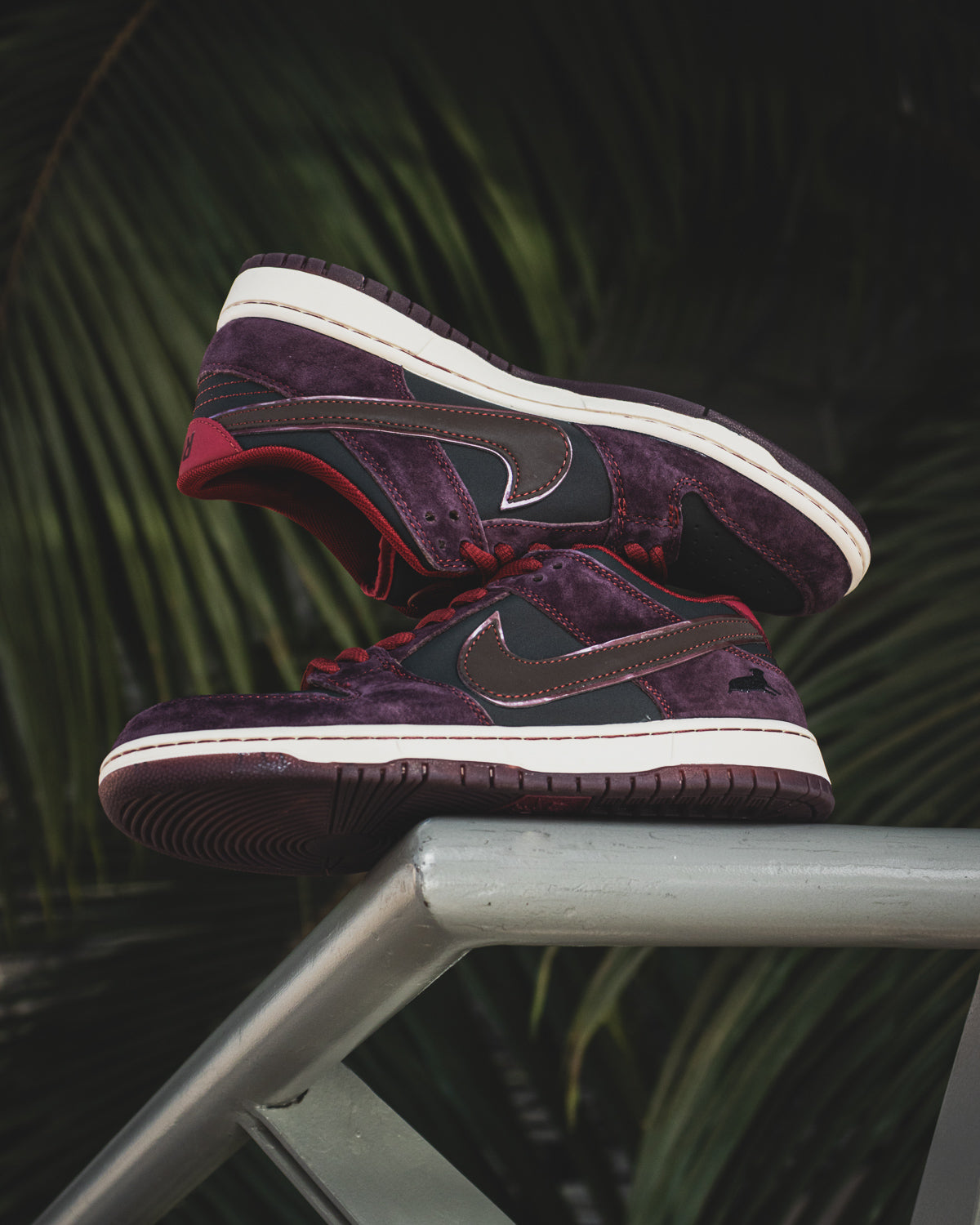 Nike SB Dunk Low Pro x Riot Skateshop