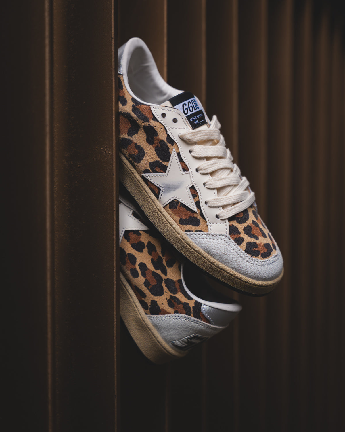 Golden Goose