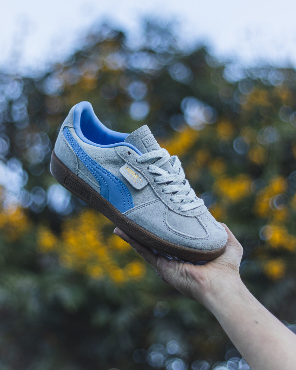 Puma Palermo "Dewdrop"