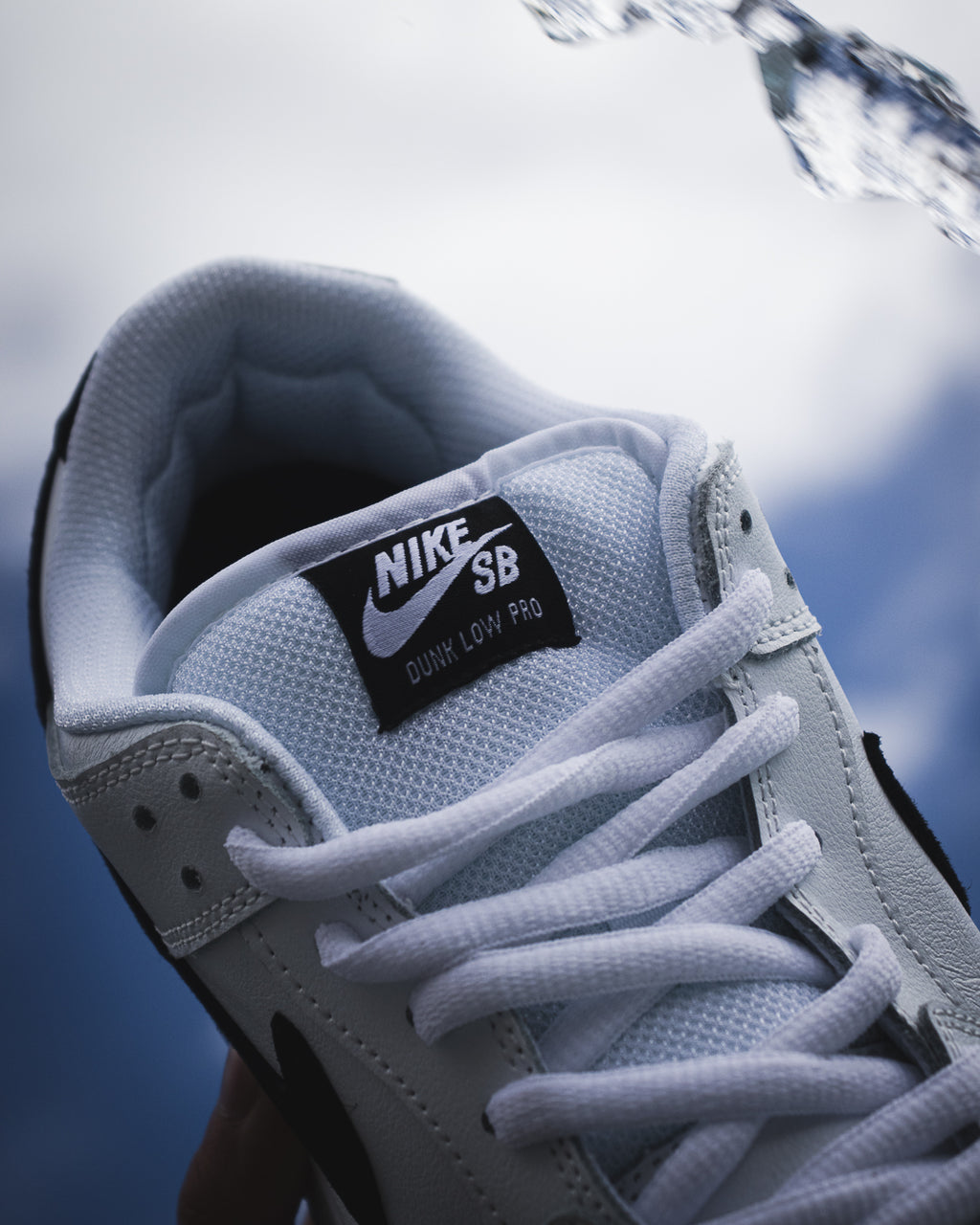 Nike SB Dunk Low Pro "White and Black"