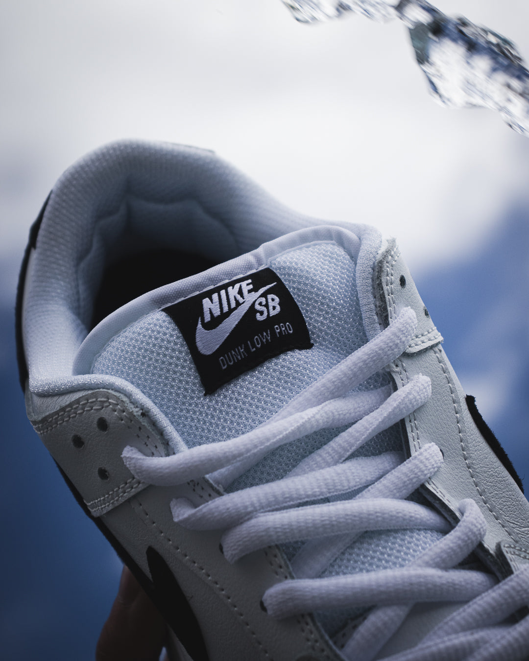 Nike SB Dunk Low Pro "White and Black"