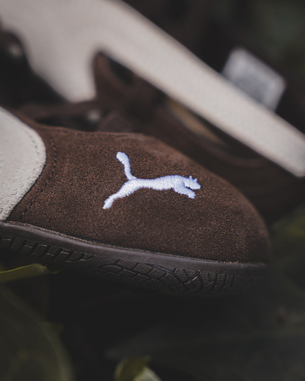 PUMA Speedcat Suede Ballet Dark Chocolate