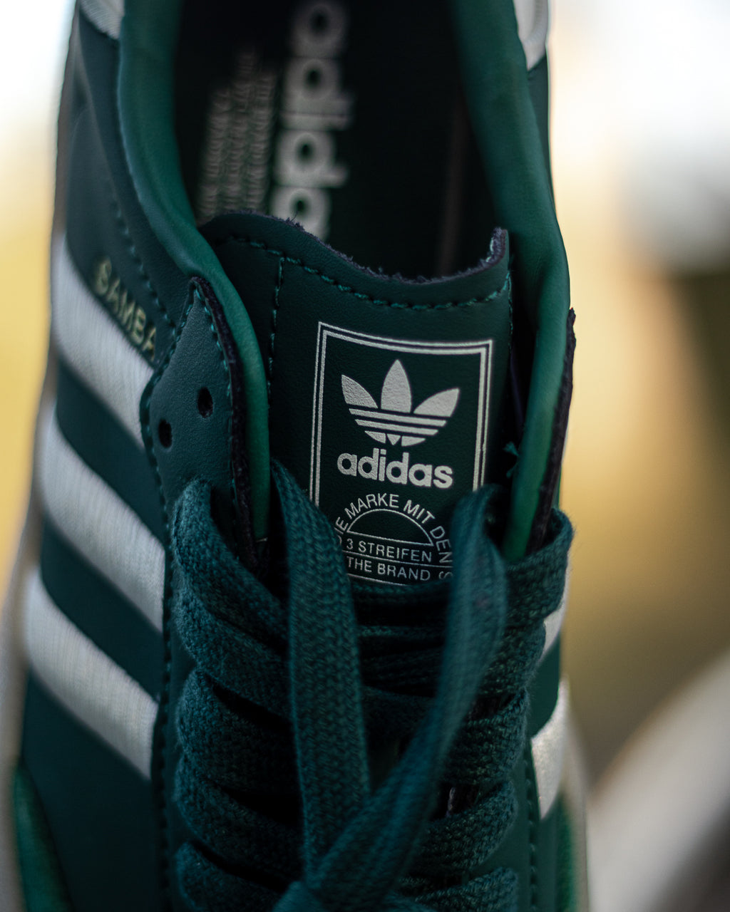 Adidas Sambae “Collegiate Green”