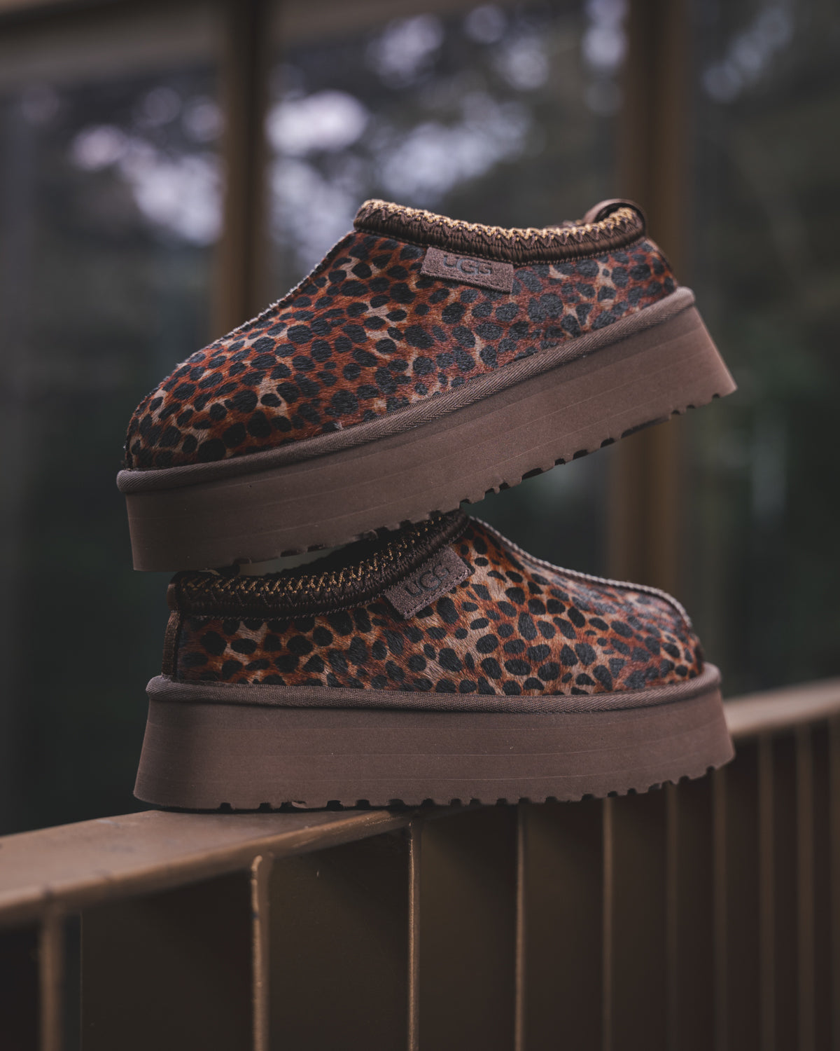 UGG Tazz Caspian