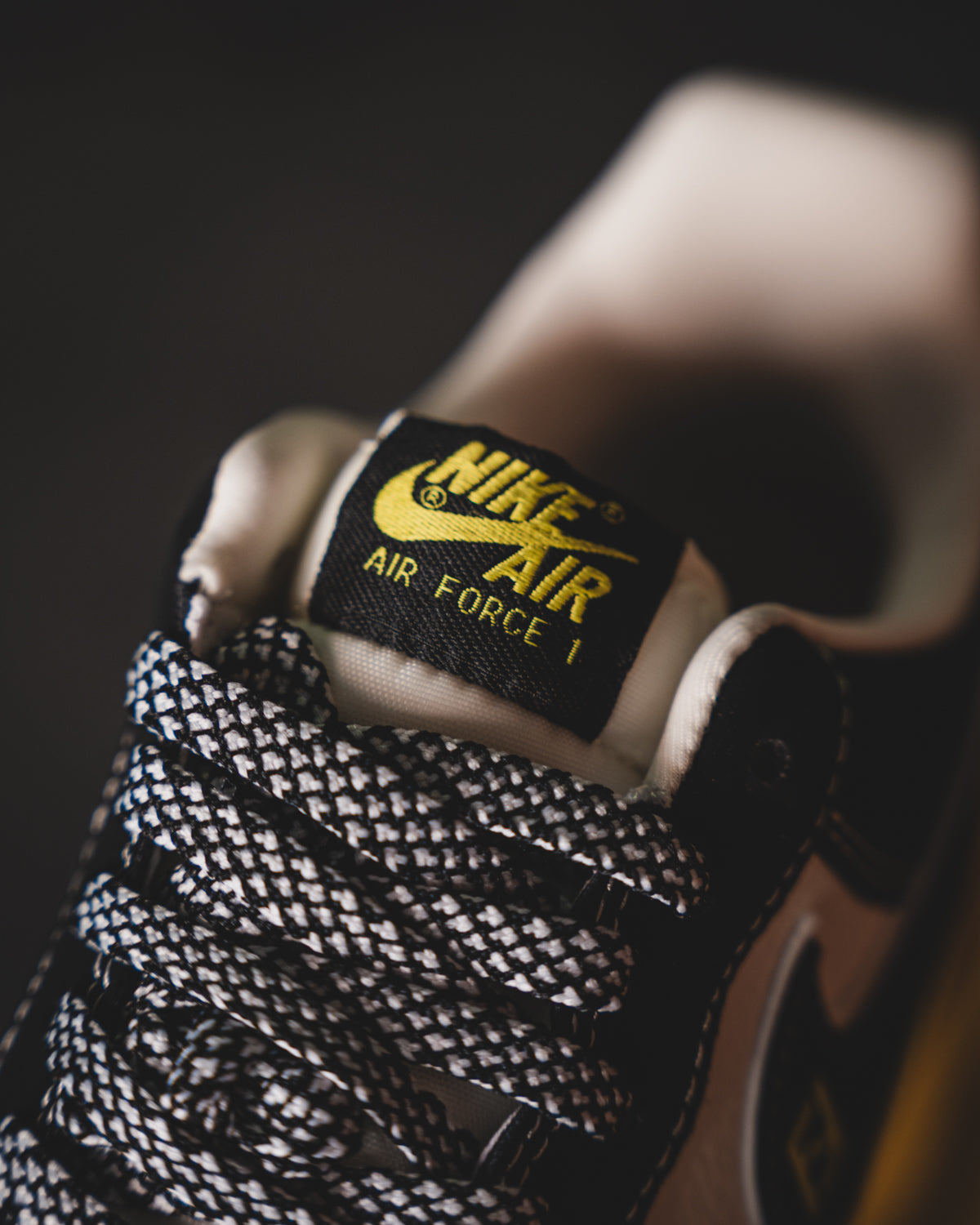 Nike Air Force 1 Low X Fendi