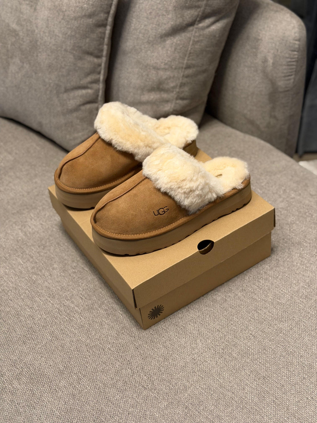 UGG Disquette