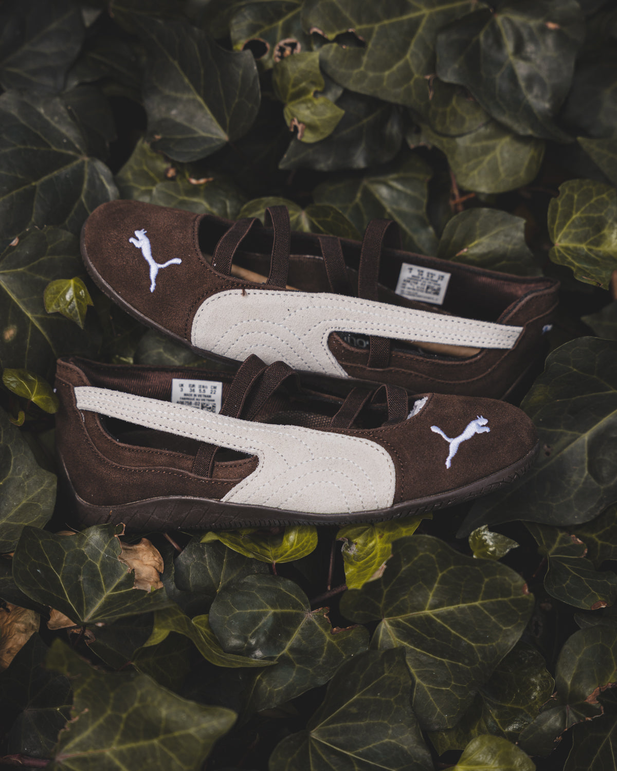 PUMA Speedcat Suede Ballet Dark Chocolate