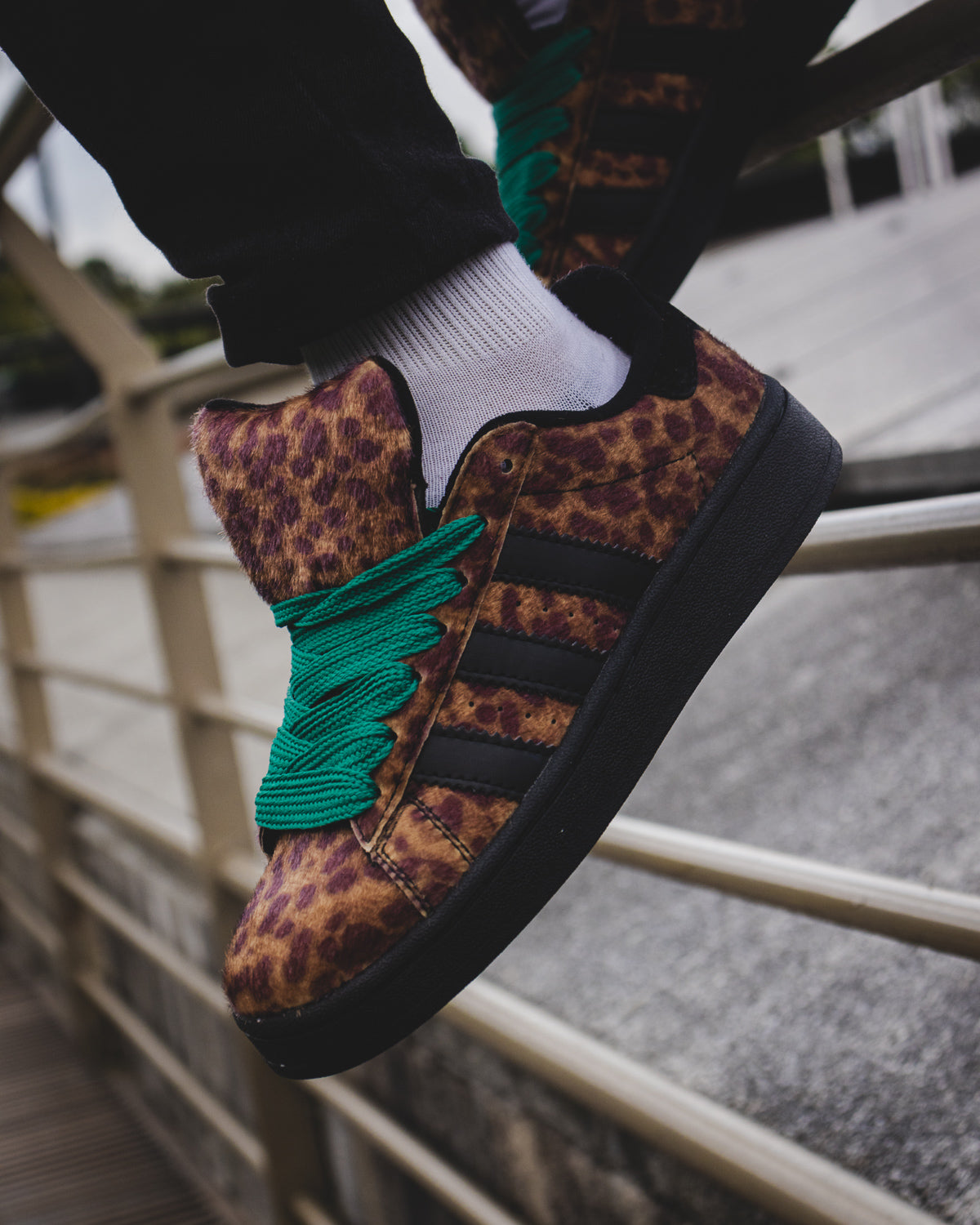 Adidas Campus 00s "Leopard Black"