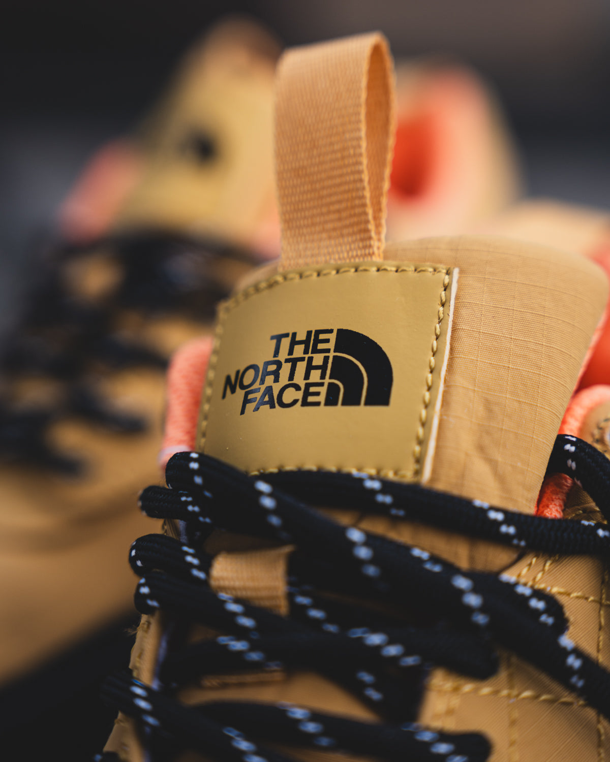 Nike Air Max 1 x The North Face
