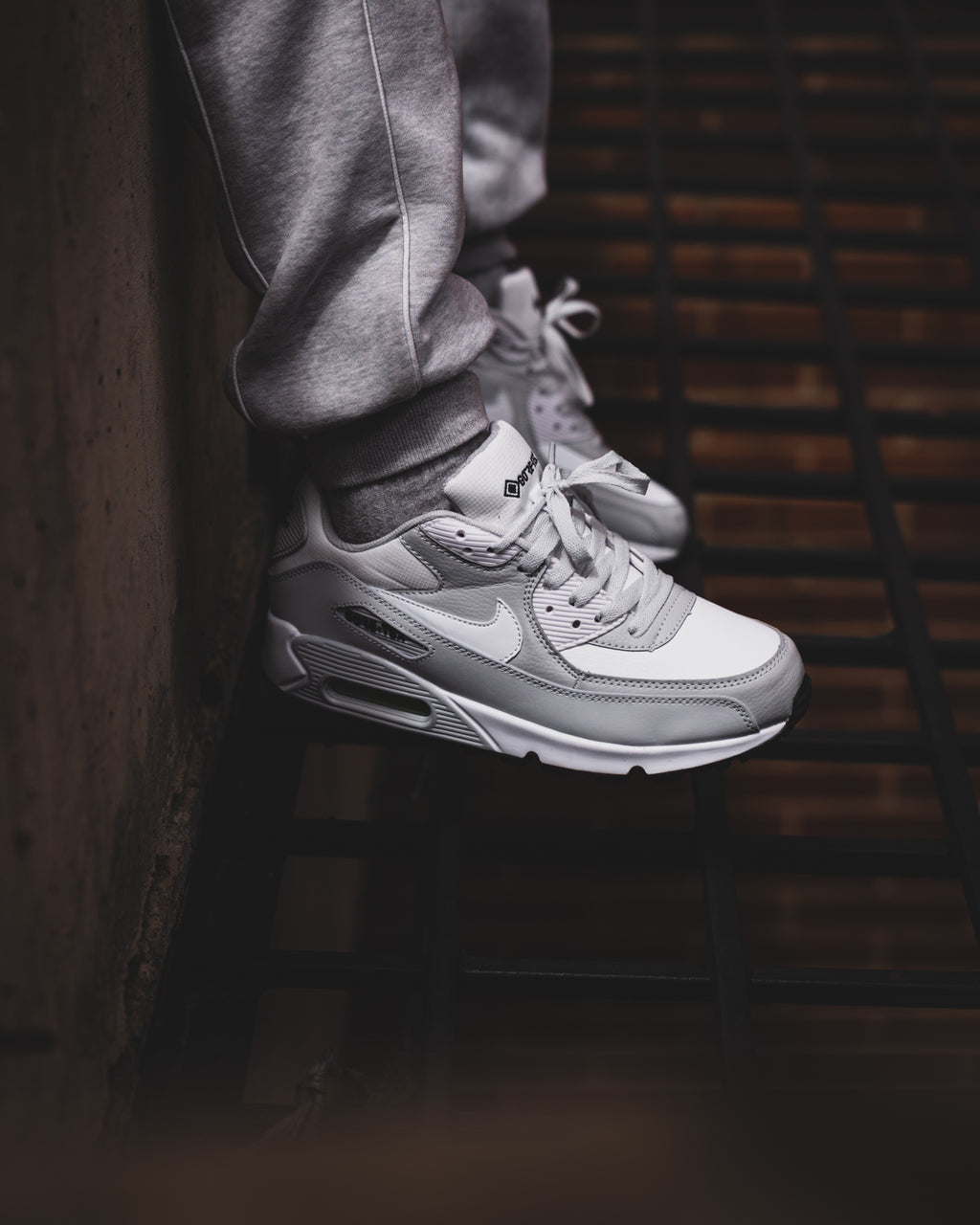 Nike Air Max 90 GTX