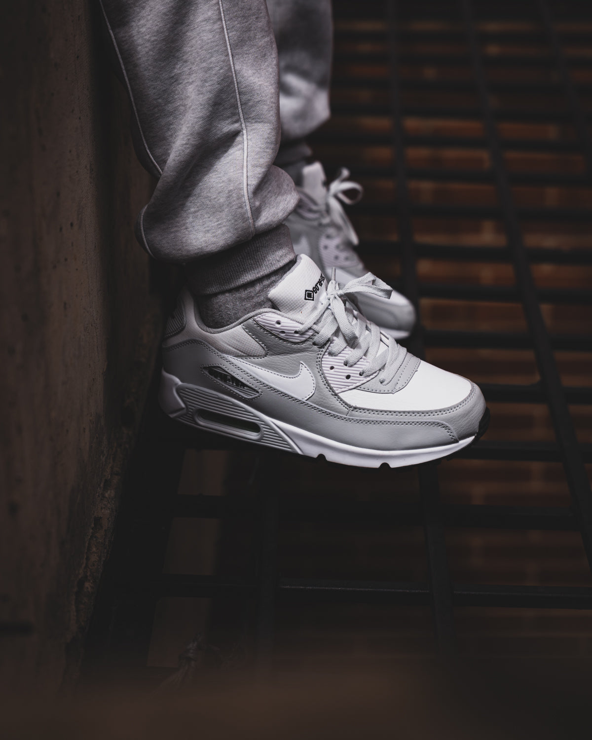 Nike Air Max 90 GTX
