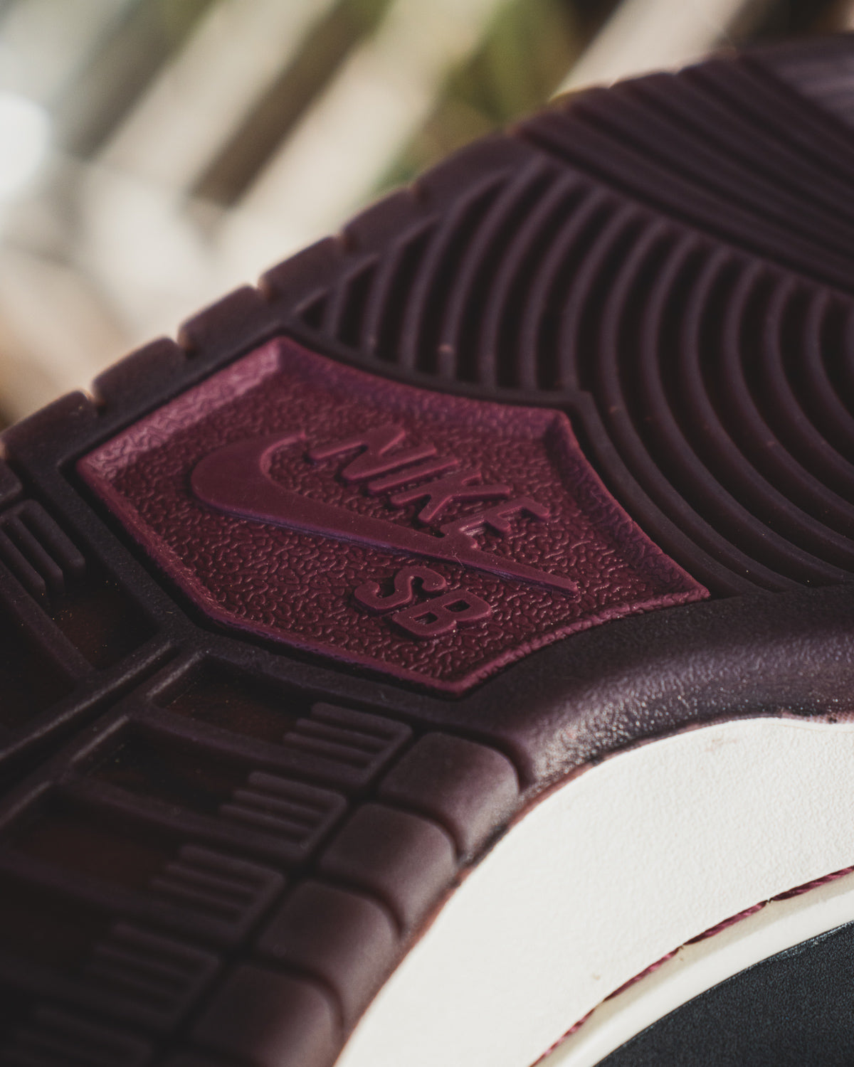 Nike SB Dunk Low Pro x Riot Skateshop