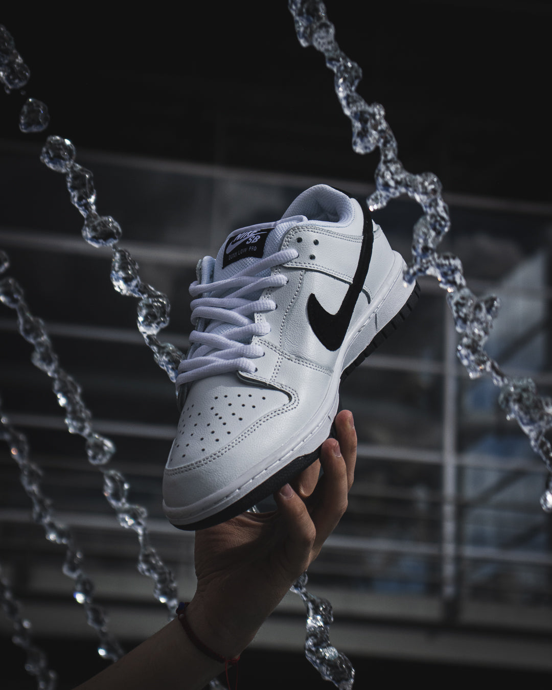 Nike SB Dunk Low Pro "White and Black"