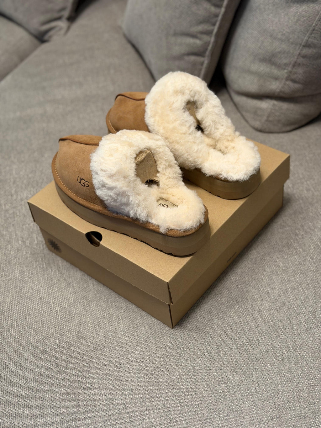 UGG Disquette