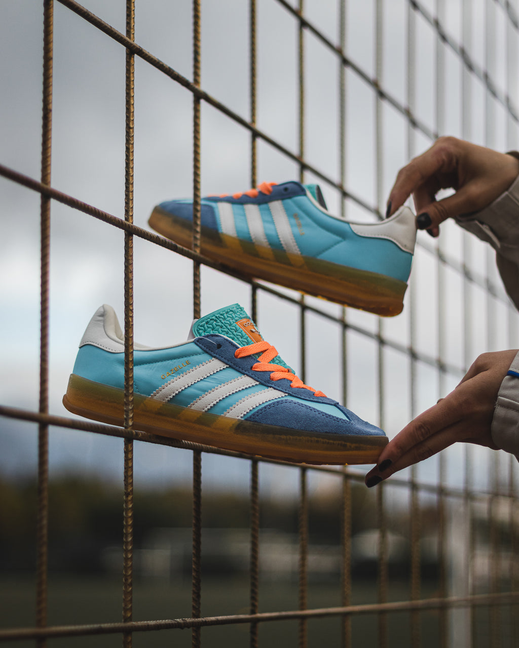 Adidas Gazelle Indoor Prevolet blue white Gum