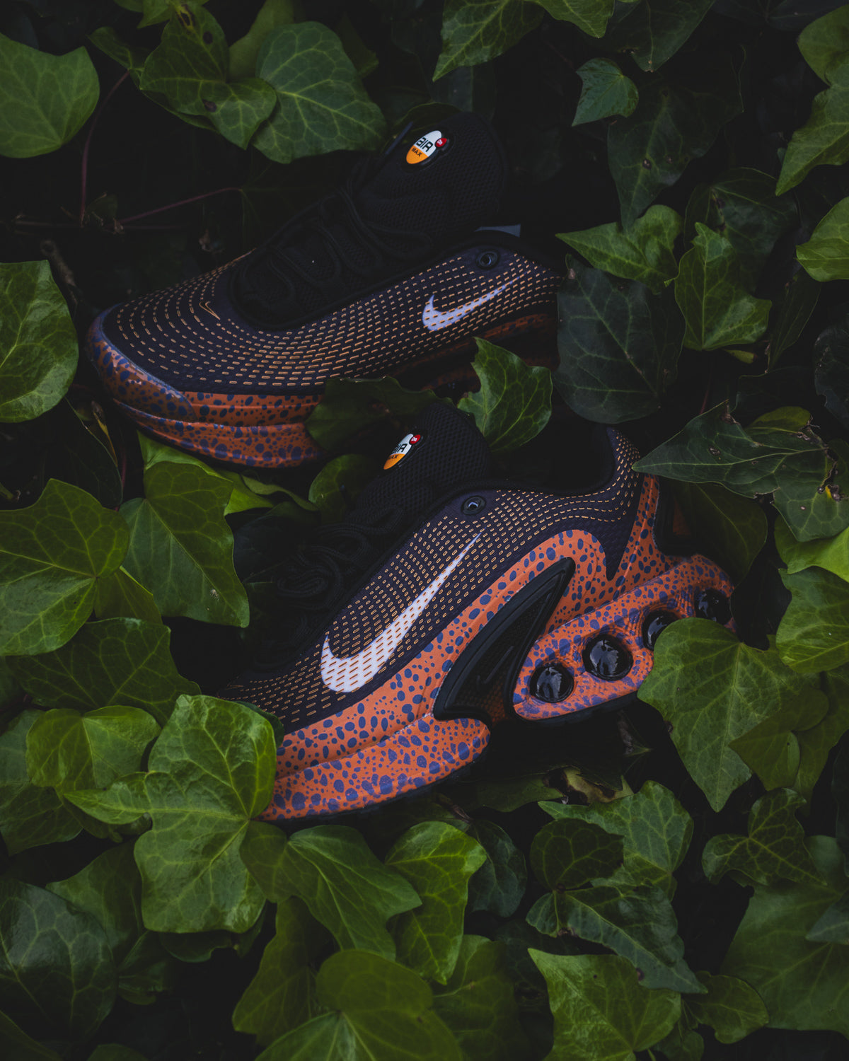 Nike Air Max Dn Safari