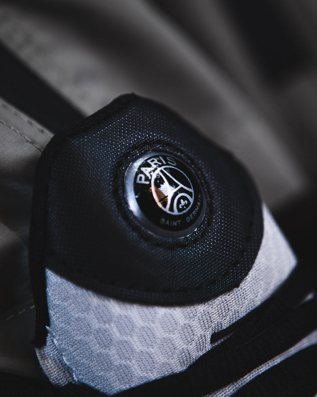 Nike Air Max Plus PRM "Paris"