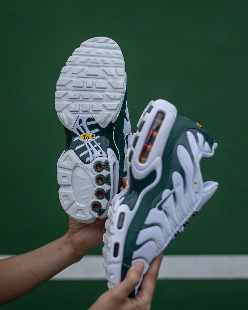 Nike Air Max TN Plus x Lacoste