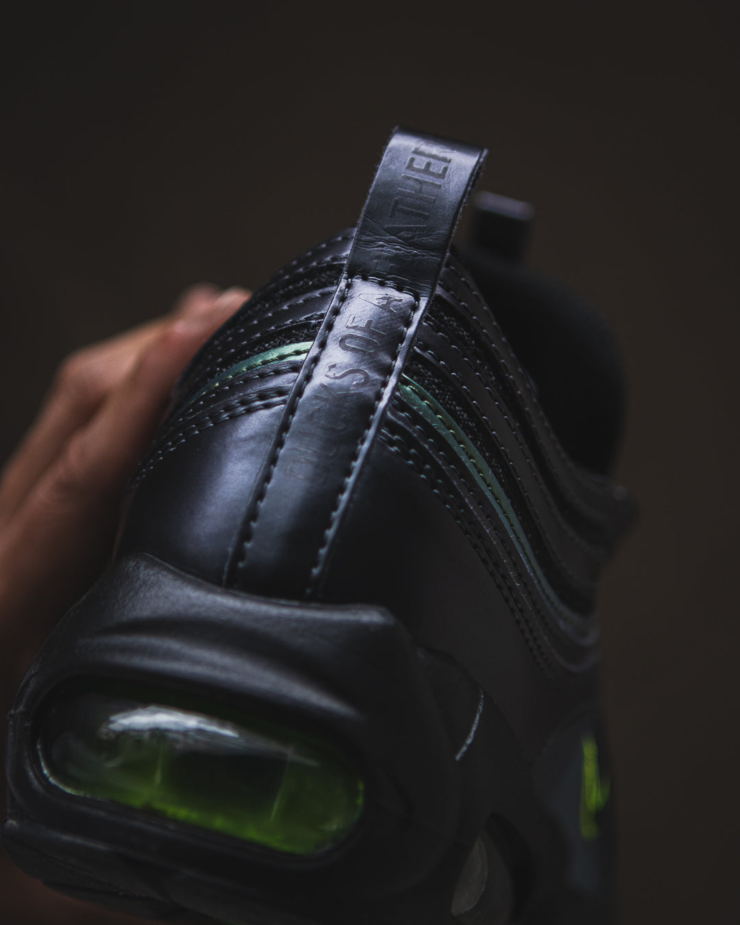 Nike Air Max 95/97 'Ducks of a Feather'