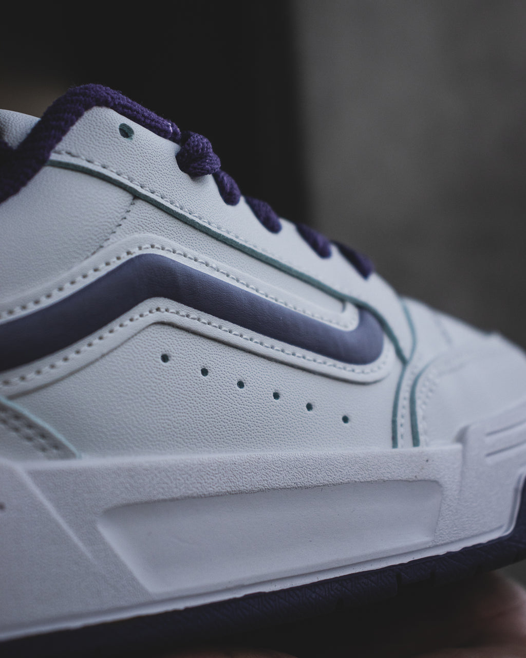 Vans Hylane “Pop Purple”