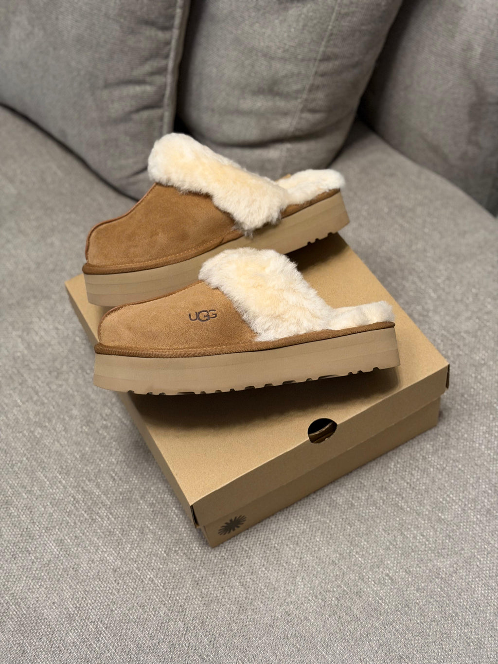 UGG Disquette
