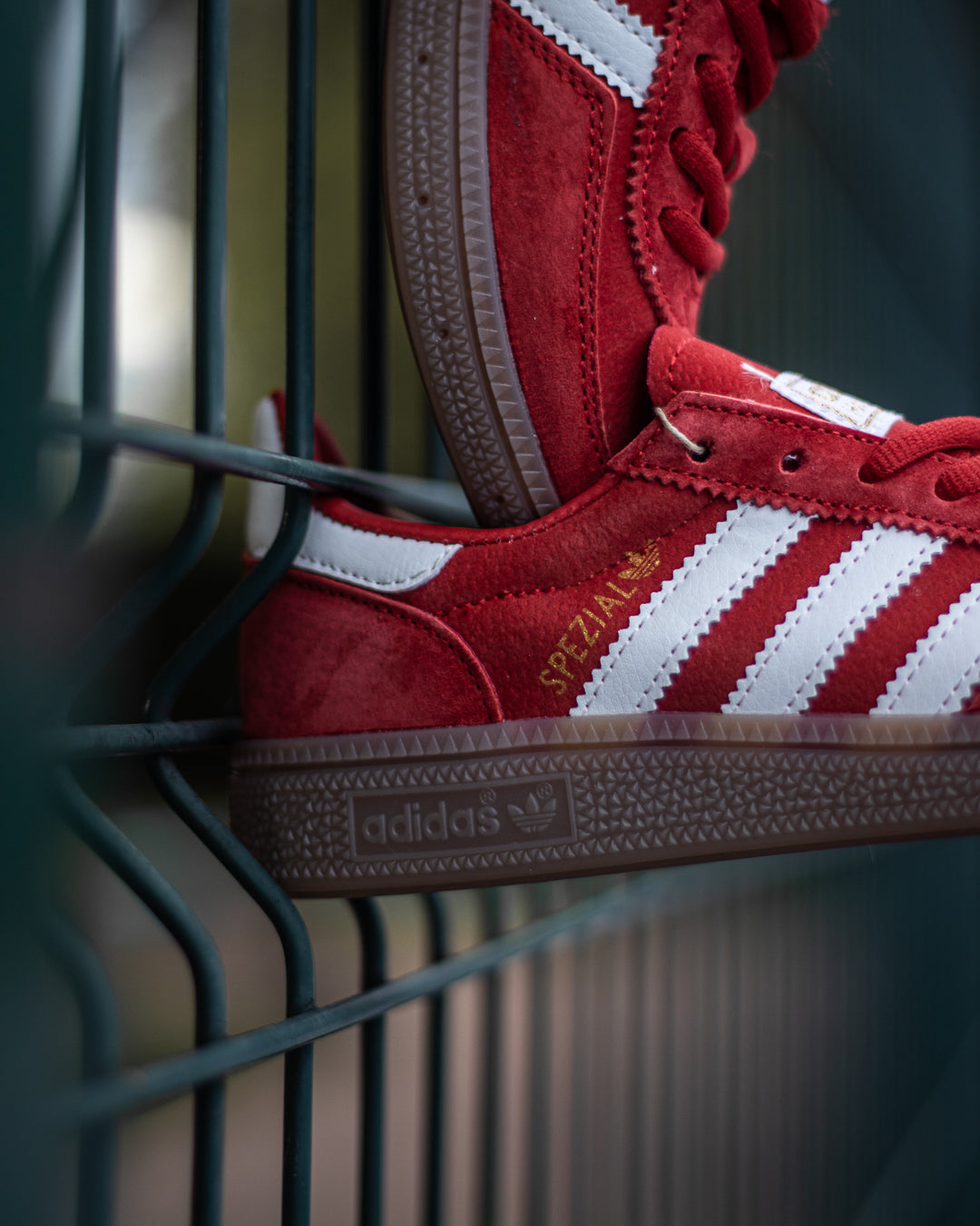 Adidas Handball Spezial "Scarlet/Cloud White/Gum"